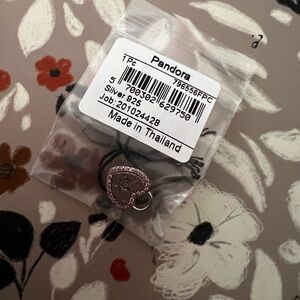 Pandora Silver Bracelet Charm with Intricate Floral Design